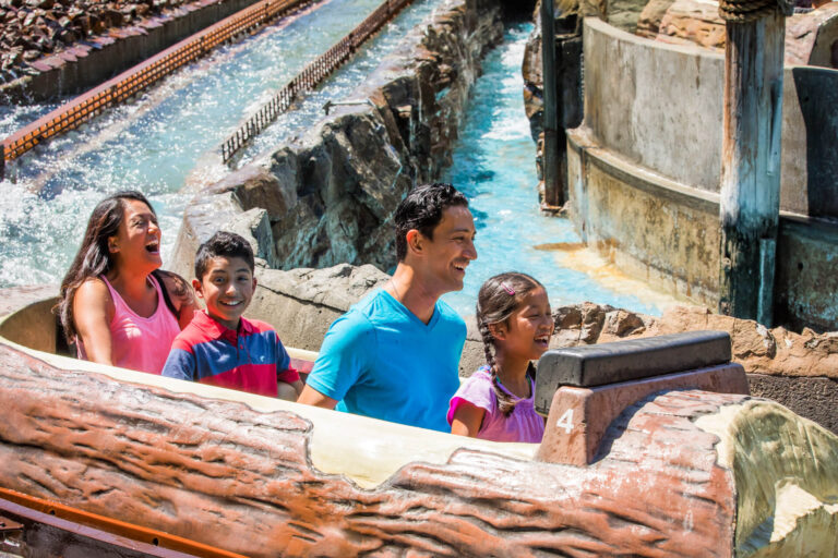 saw mill plunge log flume ride