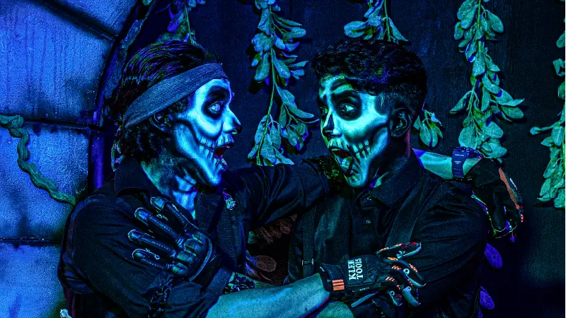 shows at castle dark - two skeleton characters