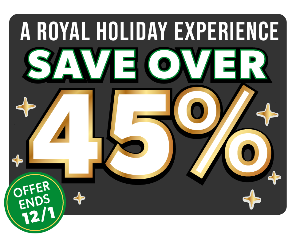 45% off all access tickets for Black Friday