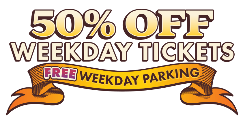 Castle Park_50 Off Weekdays